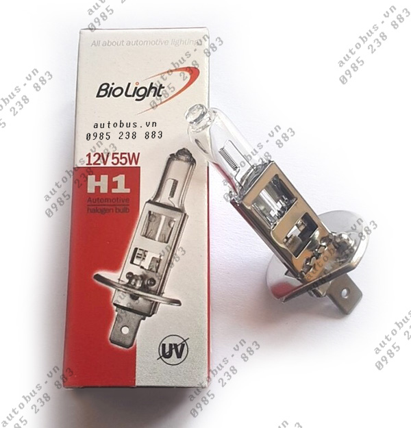 Bóng đèn h1
