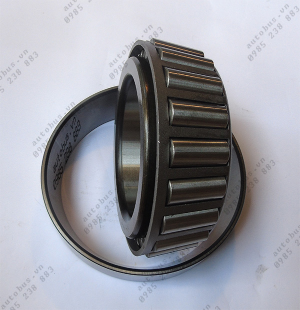Vòng bi mai ơ sau trong xe TB120Sl