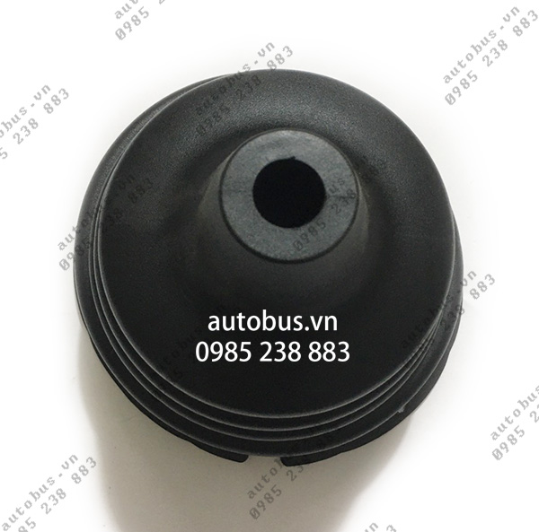 Chụp bụi cần số